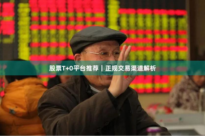 股票T+0平台推荐|正规交易渠道解析